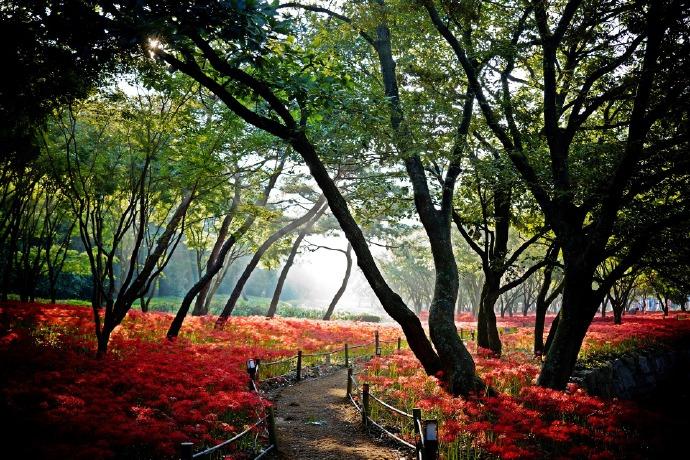 陈克的十首经典诗词（一段江南好风景，夕阳花坞净无尘）