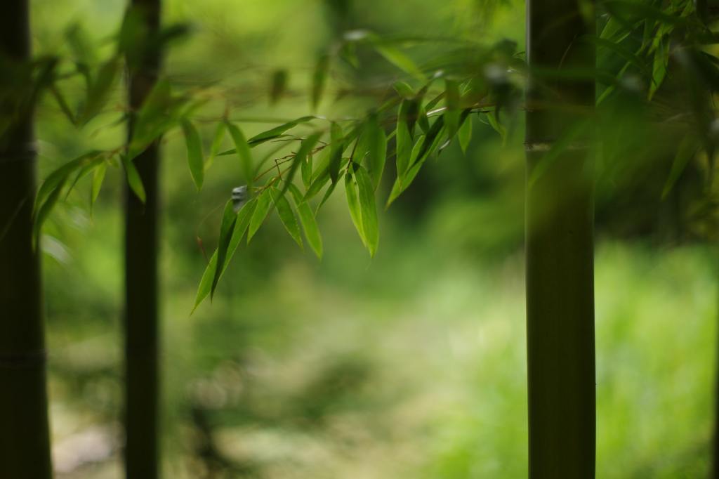 张栻的十首经典诗词（律回岁晚冰霜少，春到人间草木知）