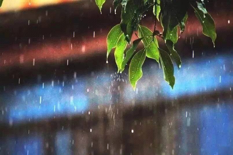 不堪红叶青苔地，又是凉风暮雨天（十五首唯美的秋雨诗词）