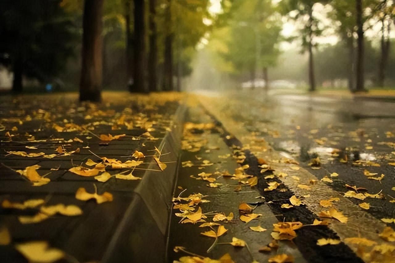 不堪红叶青苔地，又是凉风暮雨天（十五首唯美的秋雨诗词）