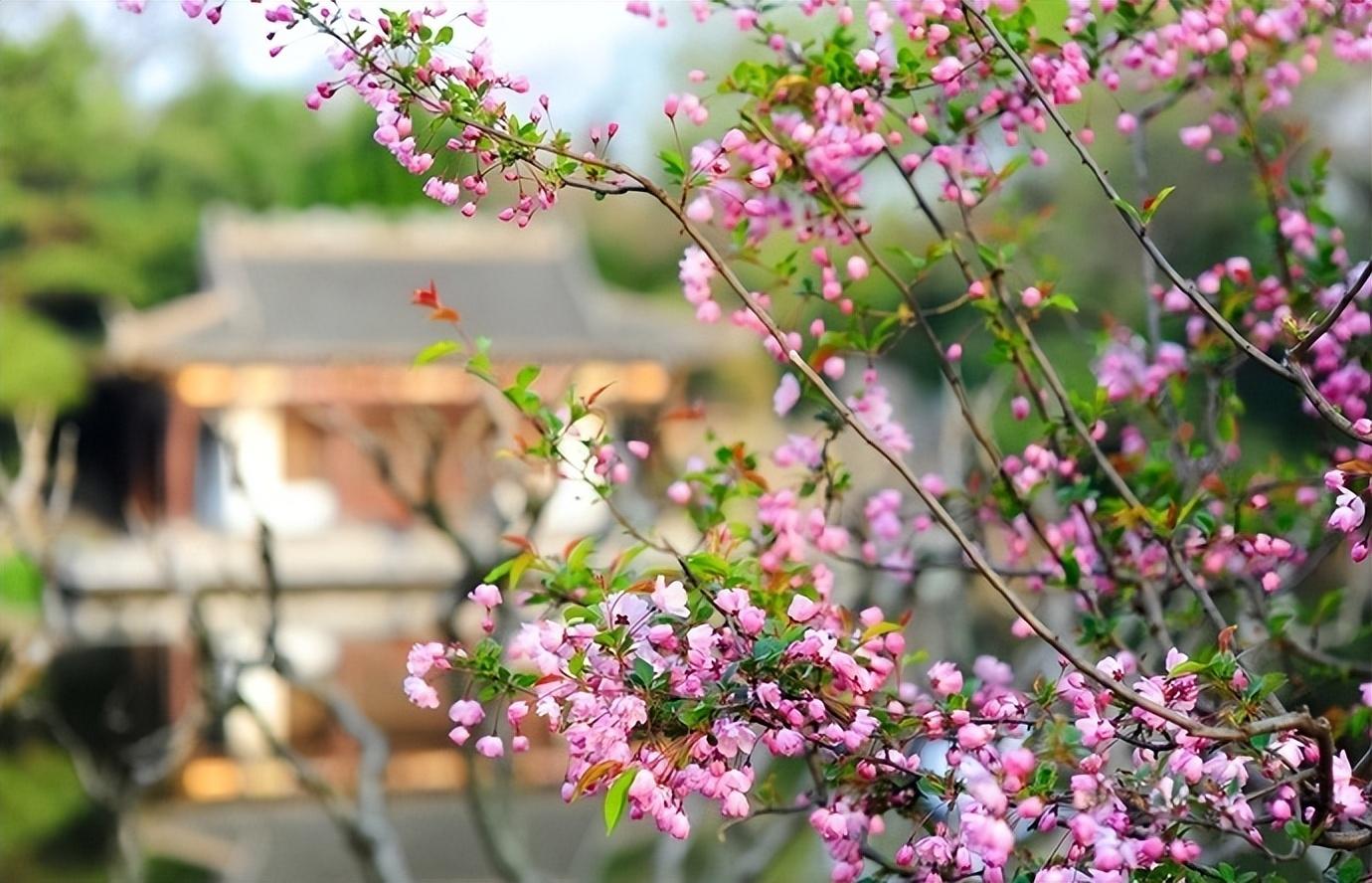 瞿佑的十首唯美诗词（花前月下团圆坐，一道清风共自凉）