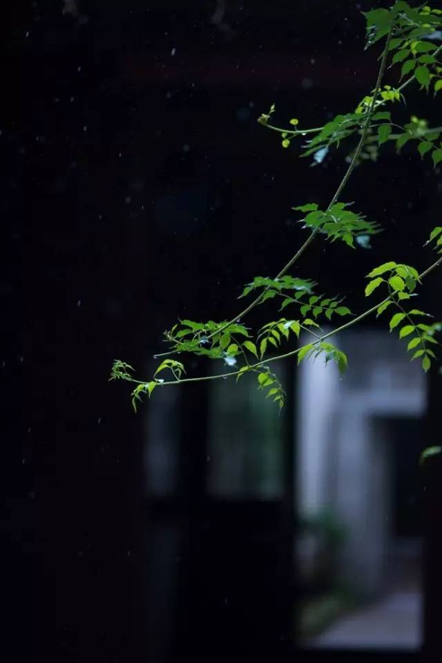 夏天经典诗词鉴赏（招凉不用频挥扇，自有薰风入座来）