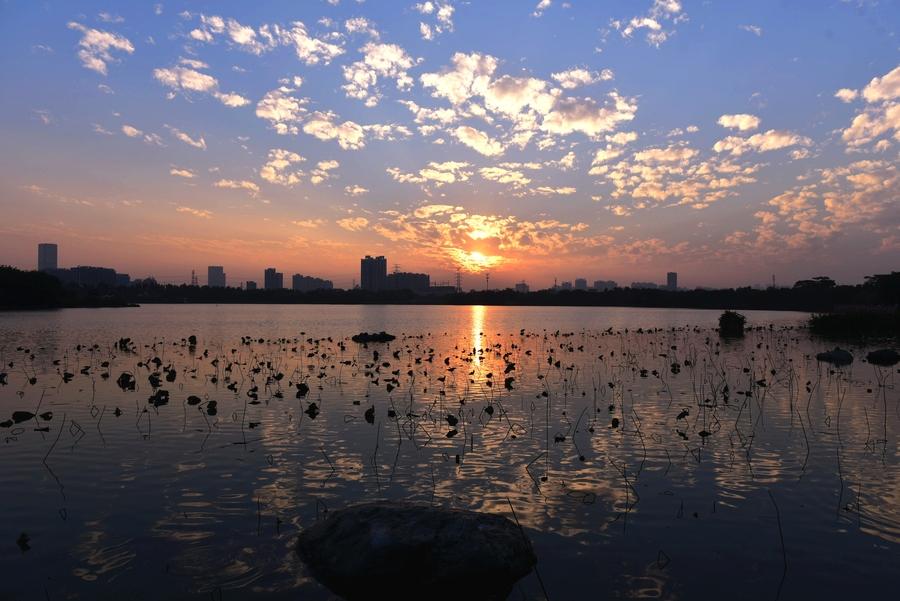 唯美夕阳古诗词赏析（黄云满地堆禾黍，山舍流泉映夕阳）