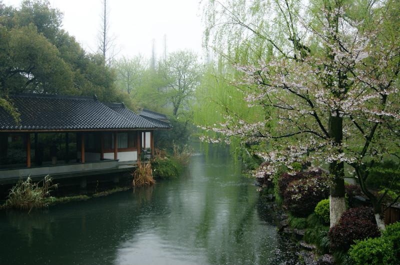 小楼听雨，雨中观花（推荐30句唯美的春雨诗词）