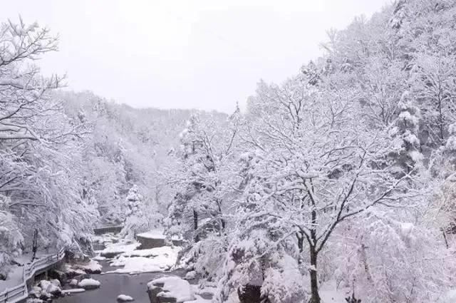 晨起开门雪满山，雪晴云淡日光寒（十五首写雪后景色的诗词）