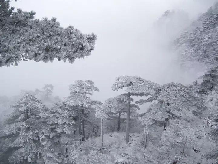 晨起开门雪满山，雪晴云淡日光寒（十五首写雪后景色的诗词）