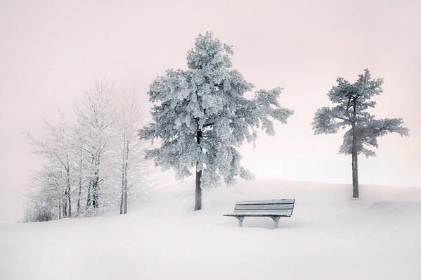 晨起开门雪满山，雪晴云淡日光寒（十五首写雪后景色的诗词）