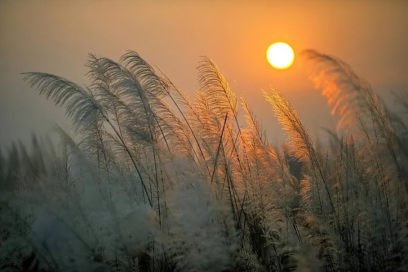 夕阳唯美古诗大全（十首描写夕阳的古诗词）