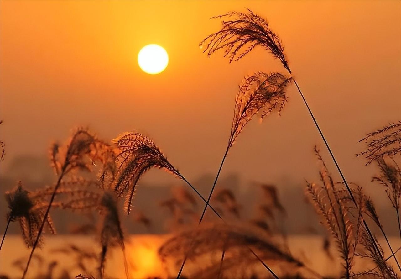 夕阳唯美古诗大全（十首描写夕阳的古诗词）