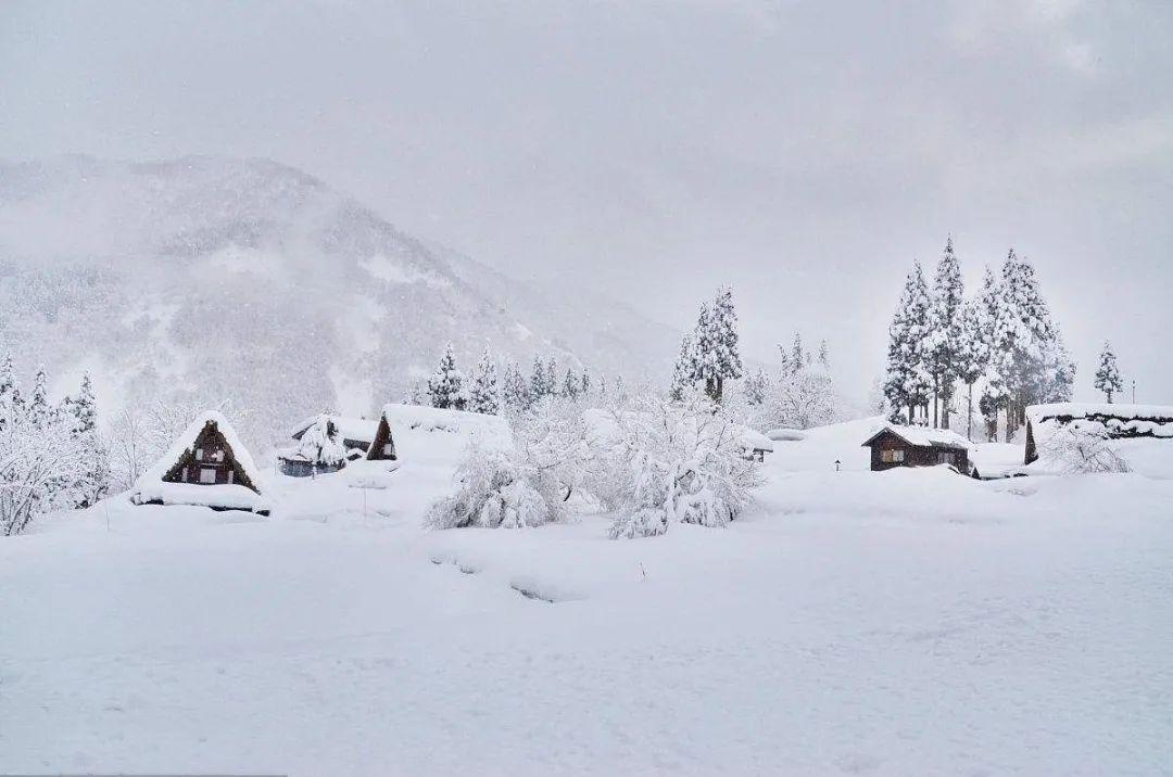 大雪压青松，青松挺且直（推荐十首大雪经典诗词）