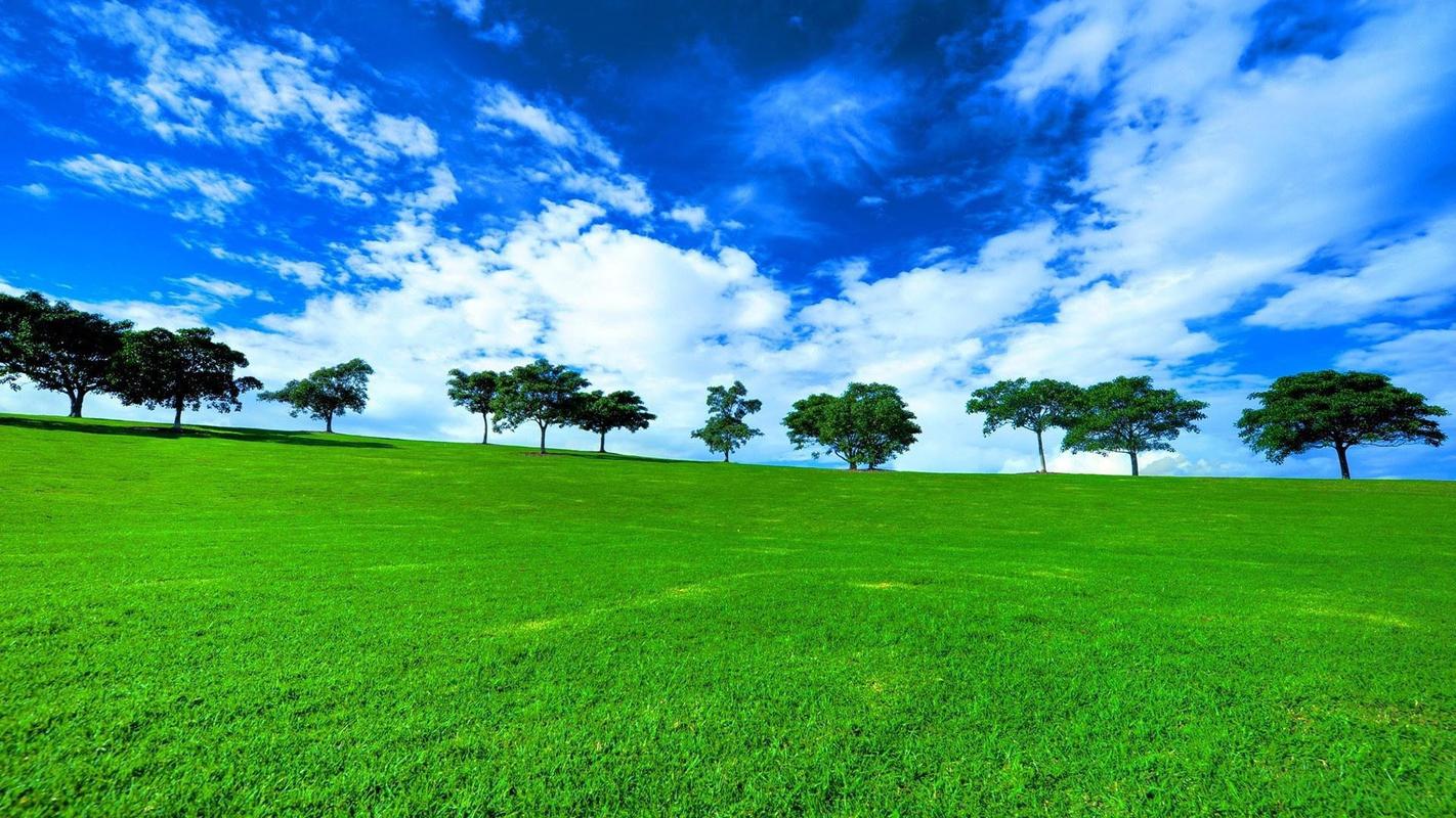 难忘的中秋节高中作文（《中秋的风景》）