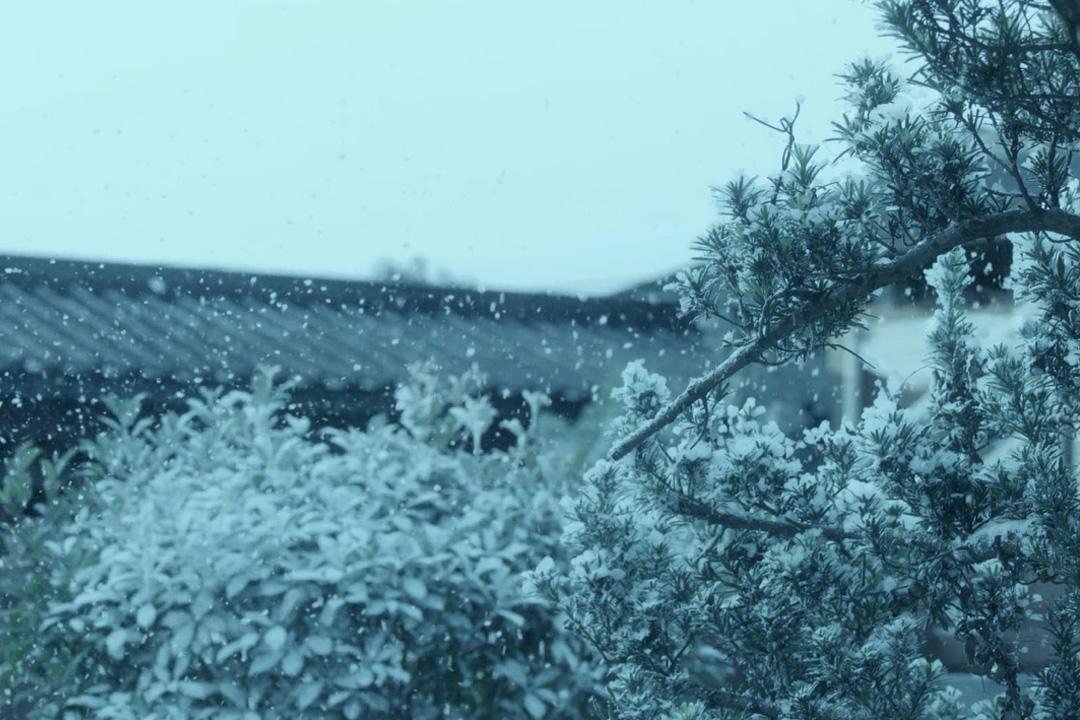 大雪唯美古诗大全（大雪节气10首诗词）