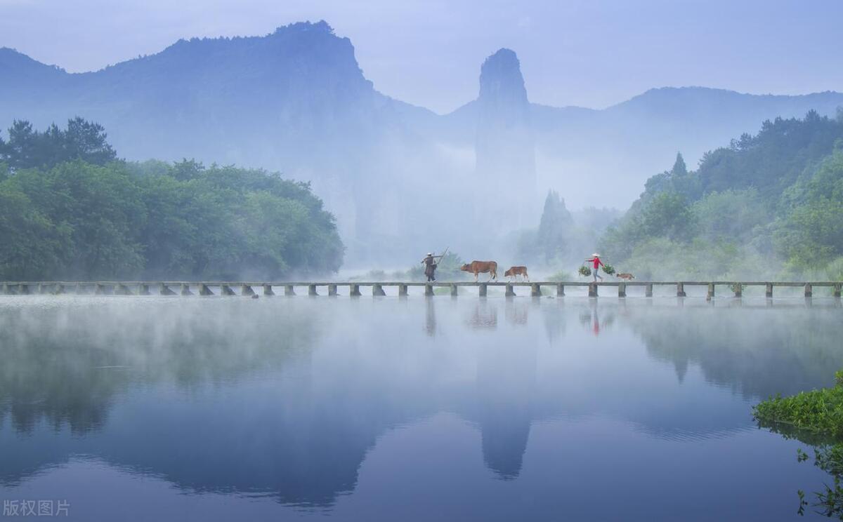 缓解焦虑唯美的诗句（焦虑15首诗词）