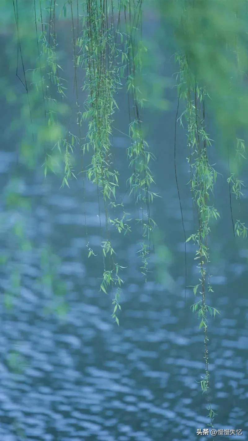 赞美榴花经典诗词（杨万里著名的20首七绝）