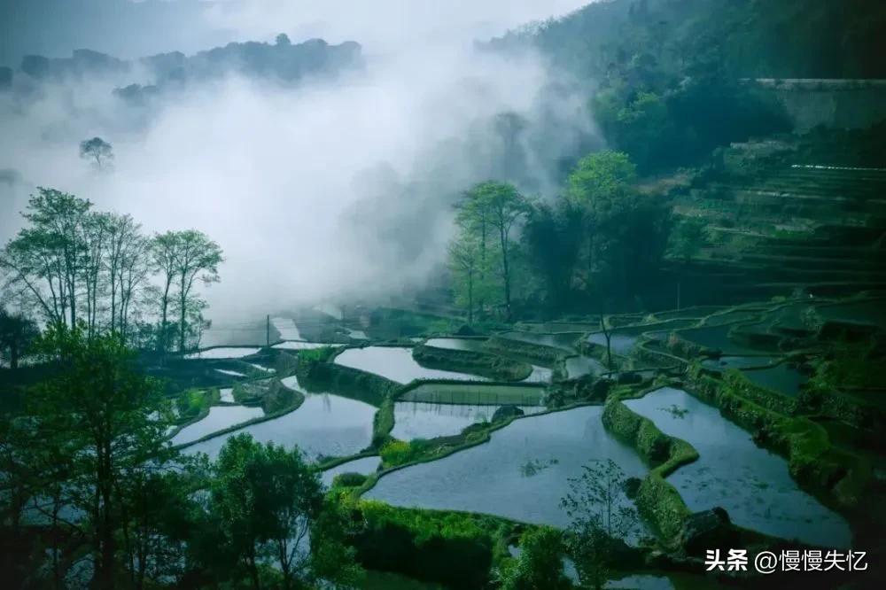 赞美榴花经典诗词（杨万里著名的20首七绝）