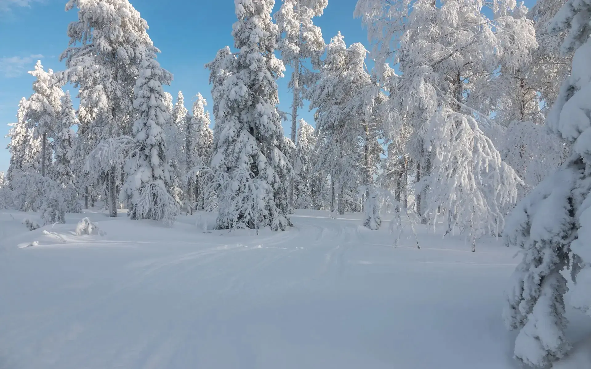 咏雪经典诗词大全（咏雪古诗词六首）