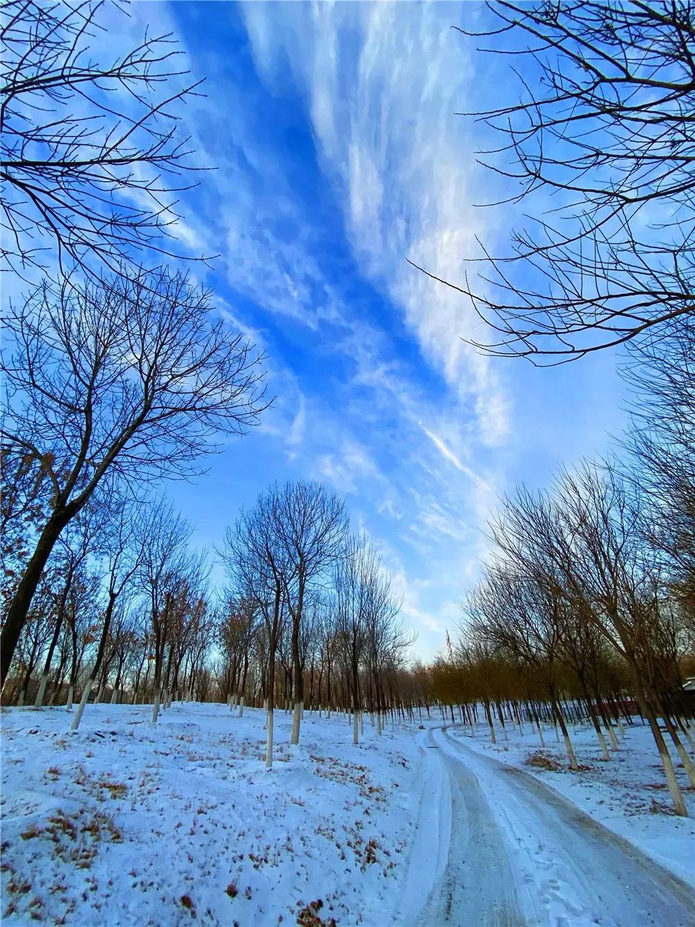 雪后初晴古诗六首鉴赏（倚杖望晴雪，溪云几万重）