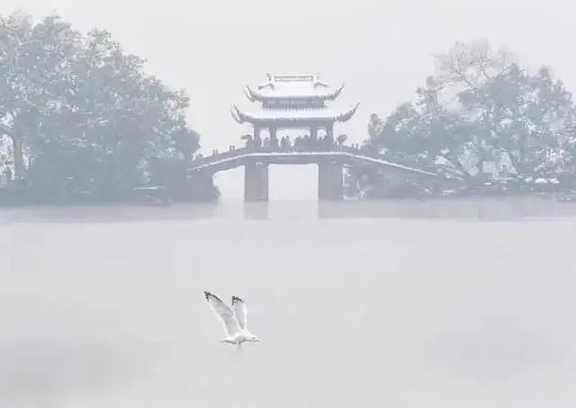 忽如一夜春风来，千树万树梨花开（绝美冬雪诗三十首）