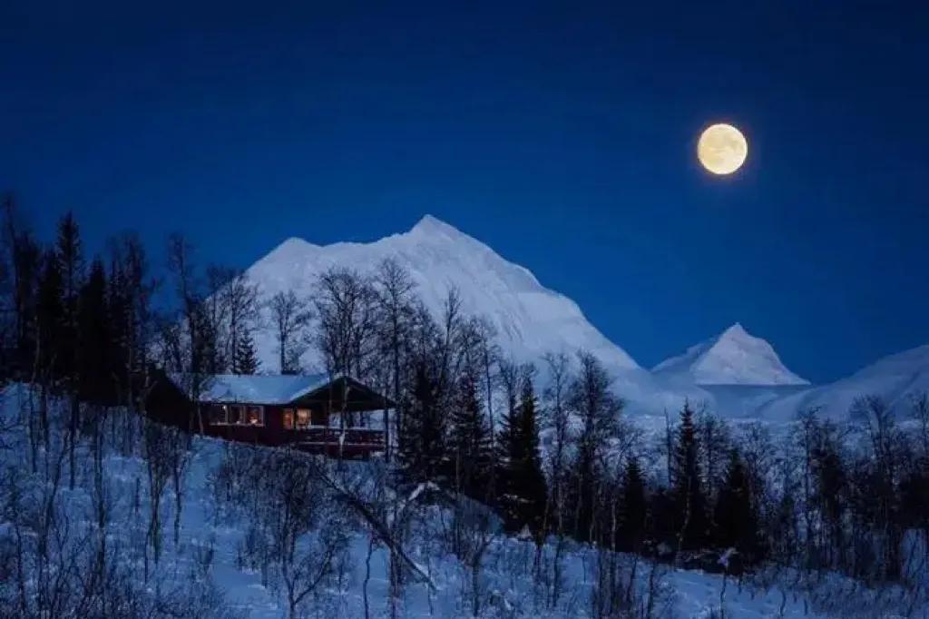 忽如一夜春风来，千树万树梨花开（绝美冬雪诗三十首）