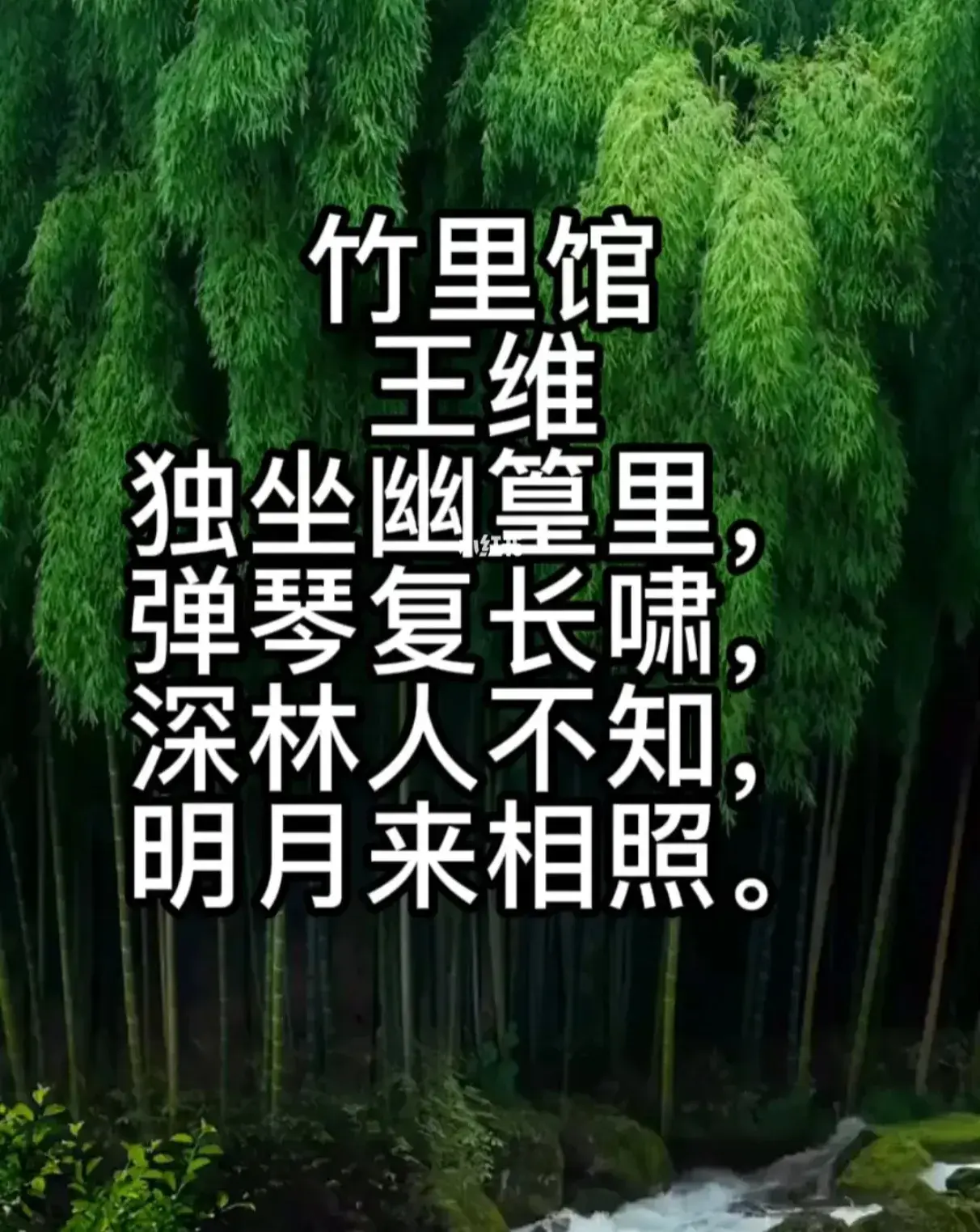 清新经典古诗词有哪些（8首清新的五言诗）