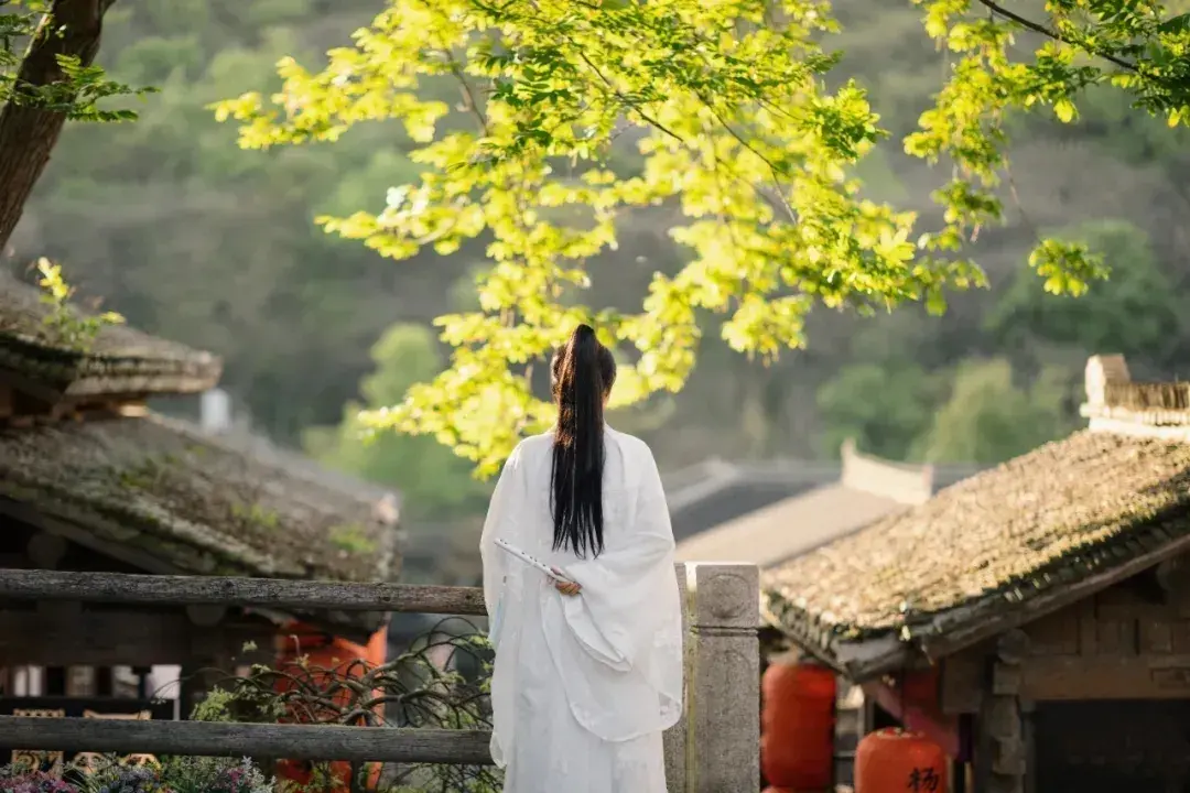 辛弃疾温柔的9首诗词（清风明月，疏雨微星）