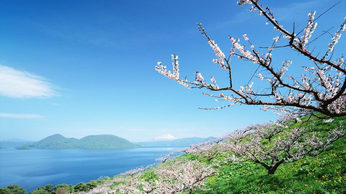 乡村即景的高中作文（《乡村的风景》）