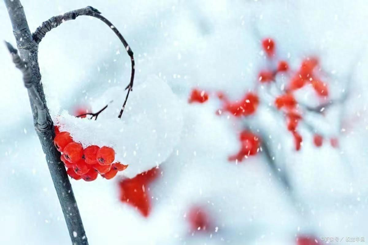 风雪知心，岁岁无忧（冬至五首古诗）