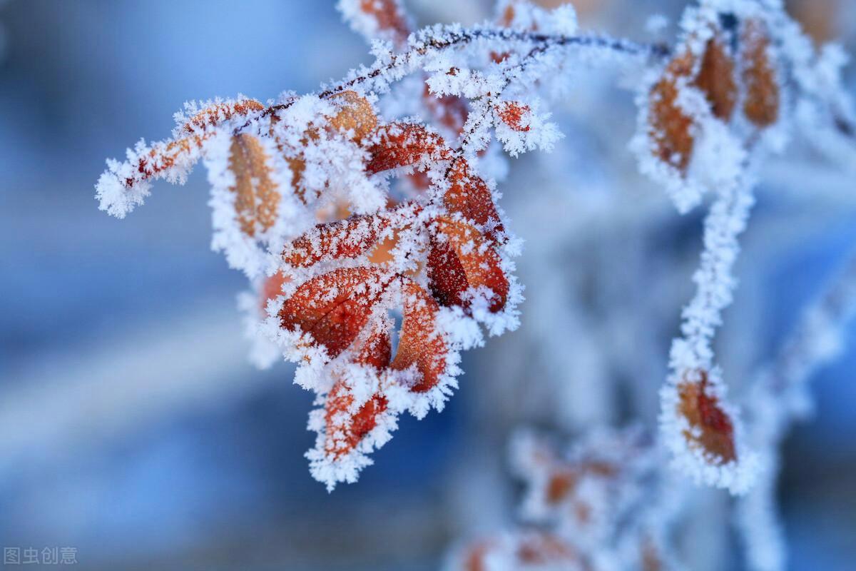 静美冬日，雪落成诗（十首意境绝美的冬雪诗词）