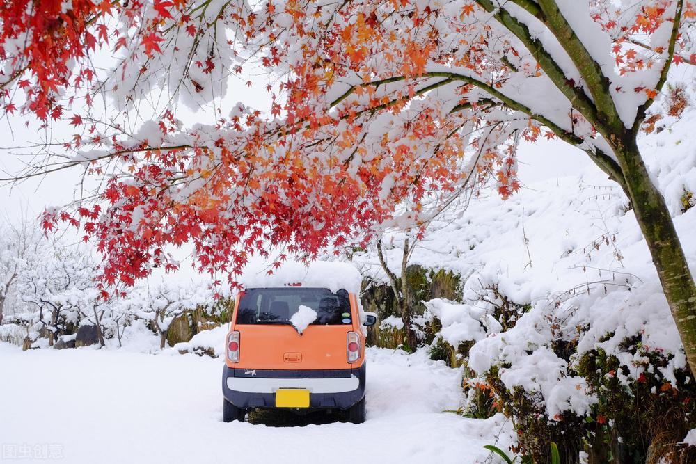 静美冬日，雪落成诗（十首意境绝美的冬雪诗词）