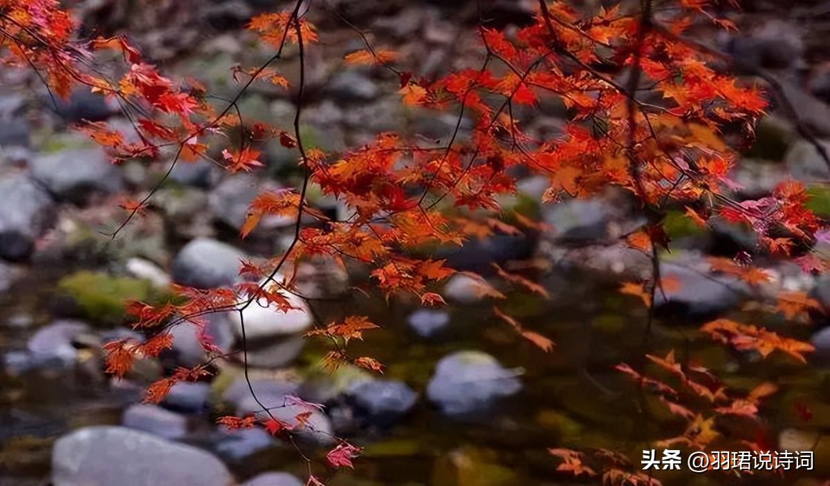 蝶恋花经典诗词鉴赏，11首经典《蝶恋花》