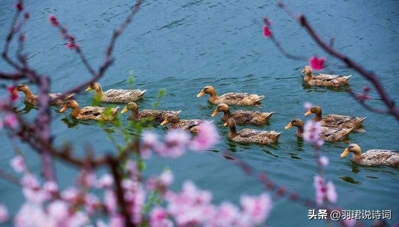 哲理催泪经典诗词（推荐20首经典哲理古诗）