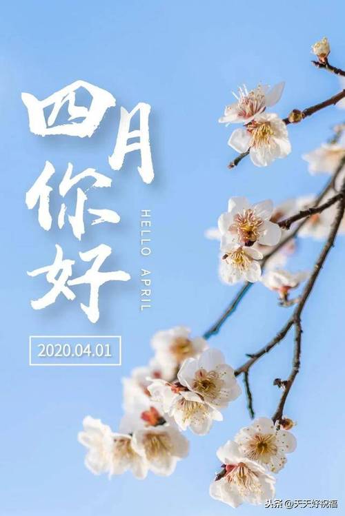 三月再见4月你好的句子（春暖花开，三月绽放）