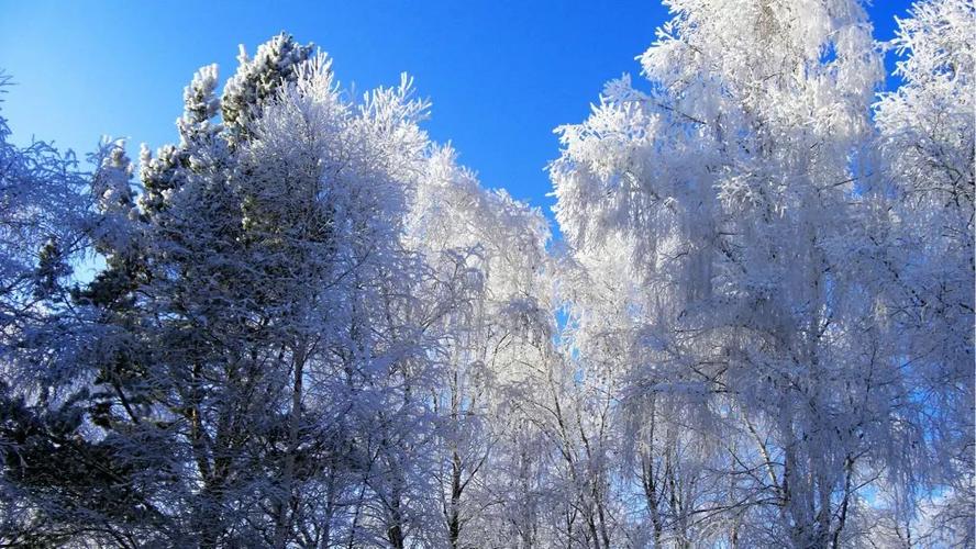 大雪将至说说（白雪皑皑的世界）