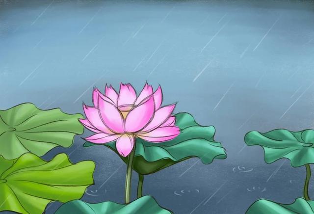 关于描写雨的优美句子有哪些（愁思随雨而来，芳心随雨而泣）