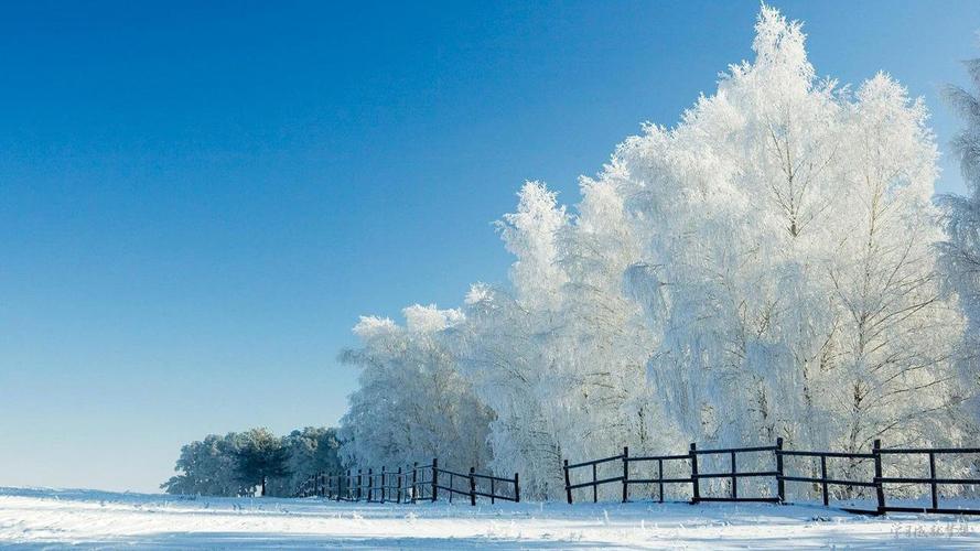 有关描写雪景的句子的句子有哪些（冬日里的浪漫与寂静）