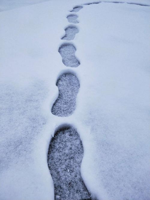 描写雪后的好段（描写雪后的句子赏析）