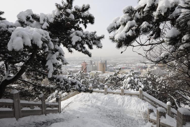 描写雪的好句子大全（雪花飘飘，美丽绝伦）