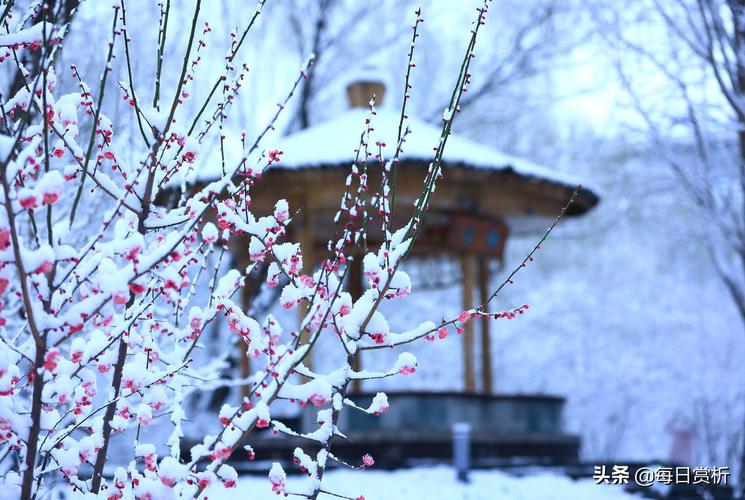 描写雪的好句超短的（雪中世界）