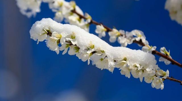 有关描写小雪的优美句子的短句英语（小雪之美）