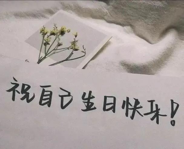 描写生日的唯美的句子大全集（我的生日-一个美丽的瞬间）