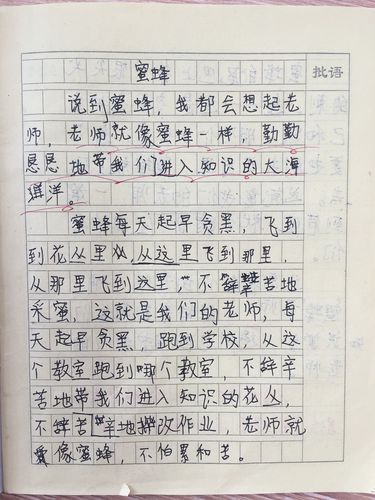 小草借物喻人600字优秀作文（《用小草的借物喻人，看人性的善恶》）