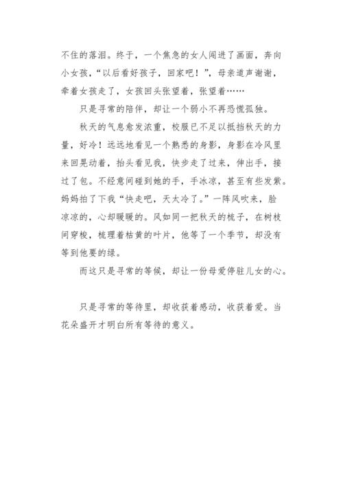 以什么里的微感动为题写一篇作文（《因一颗点滴爱心，他成为了最美的人》）