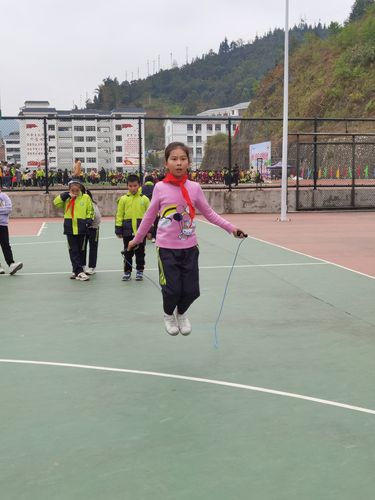 难忘的运动会作文600字作文（《奋力向前，克服难关》）