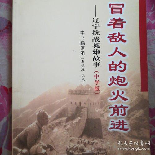 有关英雄故事的作文800字（《AJourneyofPerseverance,SacrificeandBravery》）