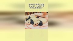 关于就这样慢慢长大的作文600字（《以就这样慢慢长大为主题写一篇小故事》）