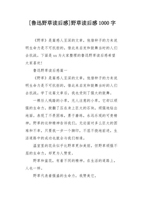 有关读后感的作文600字左右（《丁丁当当的冒险》）