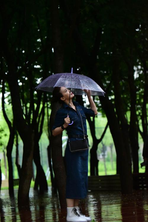 有关下雨天的作文题目（《雨中的蝉鸣》）