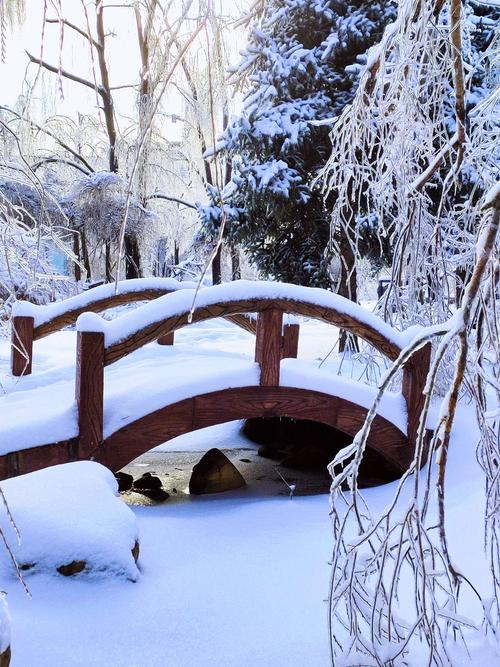 写冬天雪景的作文400字作文（《冬雪缤纷——一个孤独的人的冬季故事》）