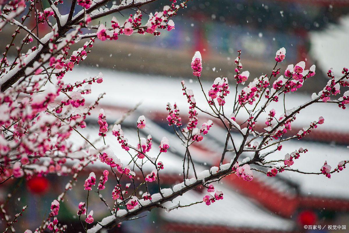 雪景唯美古诗大全（3首描写雪景的绝美诗词）