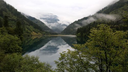 成长的风景高中作文（《成长的滋味》）